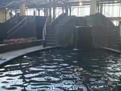 -嘉佑温泉水世界