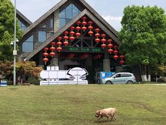 -铁山坪森林公园