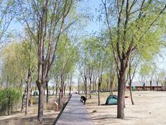 -东郊湿地公园