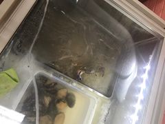 -大勇海鲜(叙康里店)