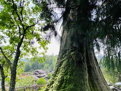 -云中大漈