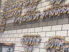 -MT麦如麦立送(五矿live店)