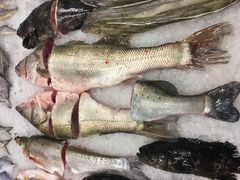 -莆鑫海鲜城(浏河店)