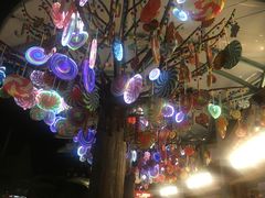 -星光糖果屋