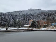 -武陵山森林公园