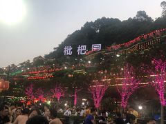 -枇杷园食为鲜火锅(南山店)