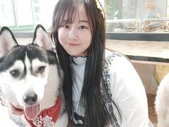 -Husky Go! 哈士奇体验馆·宠物咖啡厅狗咖