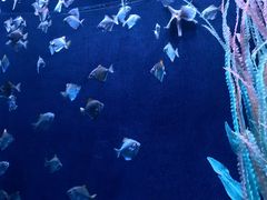 -沈阳海洋探索中心