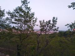 -府君山公园