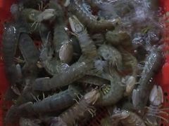 -宋船渔栈(白沙店)