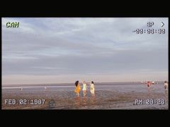 -南汇嘴观海公园