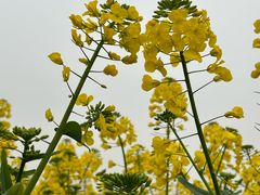 -中国天府农业博览园