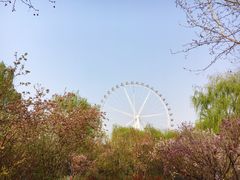 -石家庄市植物园