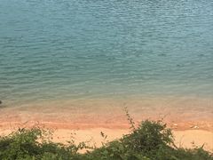 -广州市流溪河国家森林公园