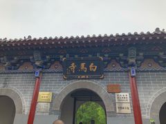 -神州牡丹园