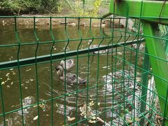 -长白岛森林公园