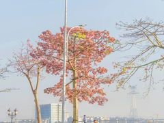 -永和鱼丸(南后街店)