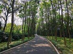 -宜兴龙背山森林公园