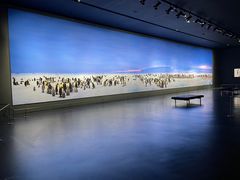 -罗红摄影艺术馆