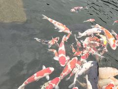 -古镇榨粉店(和平三街店)