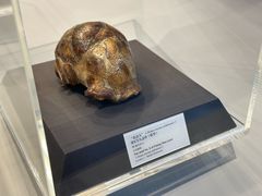 -北京周口店北京人遗址博物馆