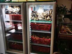 -太婆天府山珍酒楼(亚运村店)