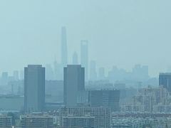 -上海浦东康桥绿地假日酒店