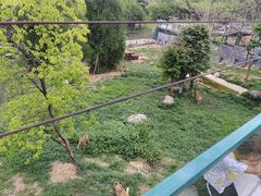 -泉州海丝野生动物世界