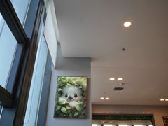 -了不起的考拉咖啡店(高新店)