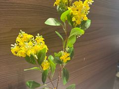 -聆桂烤鸭·金奖烤鸭(静联广场店)