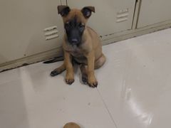 -鑫盛电脑科技(锦秋路店)