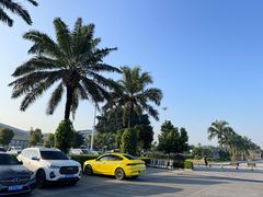 -德宏芒市国际机场