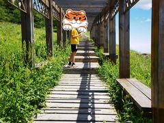 -白草畔自然风景区