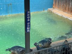 -蓬莱欧乐堡海洋极地世界