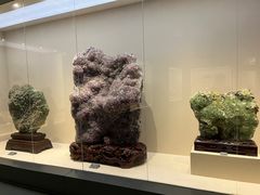 -安徽省地质博物馆