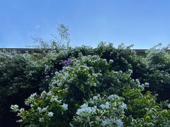 -广州市紫泥堂文化创意园景区