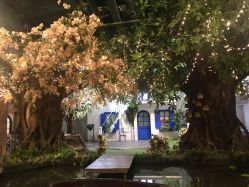 -完美新娘婚纱摄影