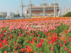 -海心沙亚运公园