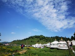 -关山牧场王师烤全羊