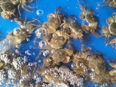 -阳澄湖大闸蟹·琼灵阁牌品牌连锁(吴中总店)