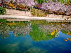 -元大都城垣遗址公园