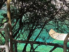 -石台牯牛降景区