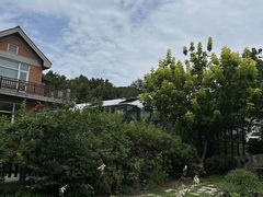 -北马山庄植趣咖啡