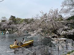-井之头恩赐公园