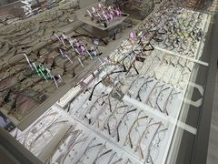 -华彬眼镜专业渐进配镜(潘家园店)
