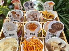 -菌自由丨野生菌火锅特色庭院餐厅(丽江古城店)