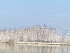 -东湖落雁景区