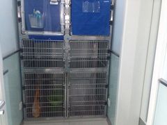 -纳吉亚猫专科动物医院博雅分院