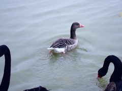 -艾溪湖湿地公园