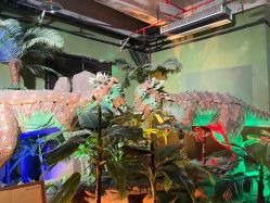 -恐龙探索乐园(磁器口店)